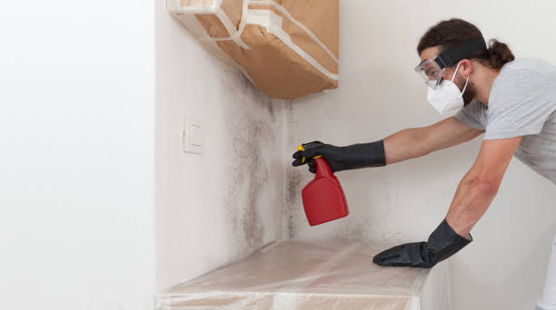 Professional Black Mold Remediation technician working in Wood-Ridge, NJ